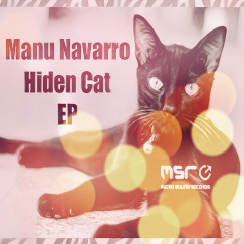 Hidden Cat – Manu Navarro
