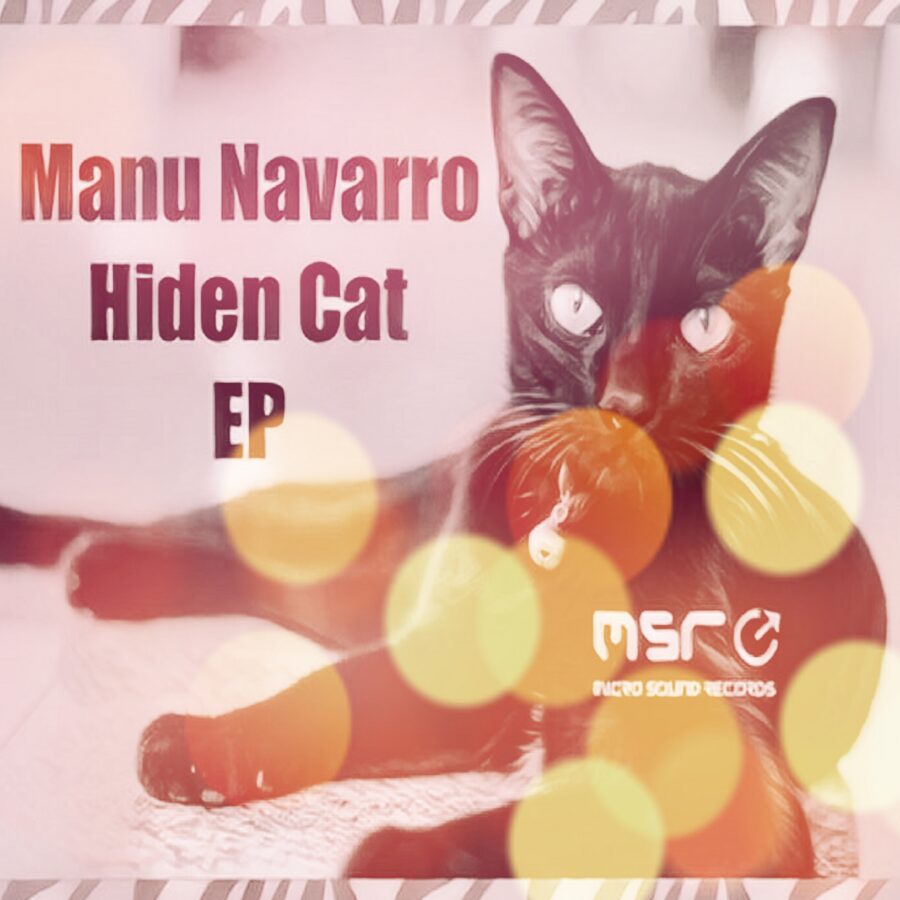 Hidden Cat – Manu Navarro
