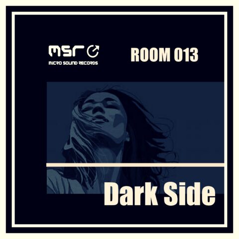 Room 013 Dark Side – Various Artists