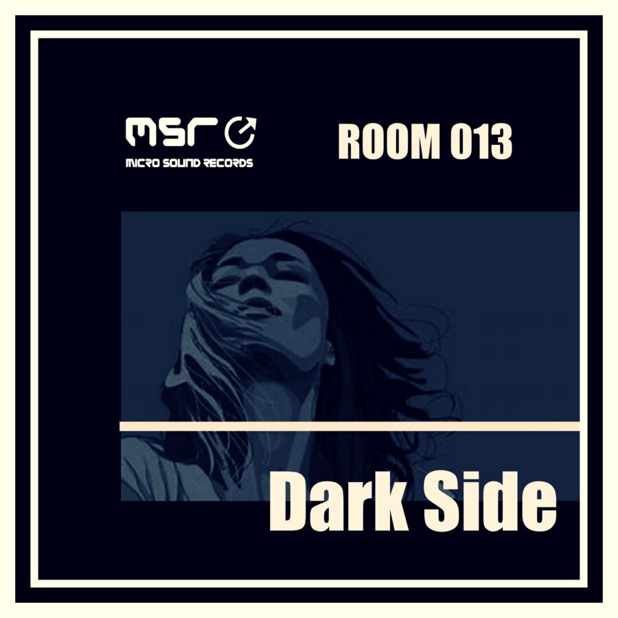 Room 013 Dark Side – Various Artists