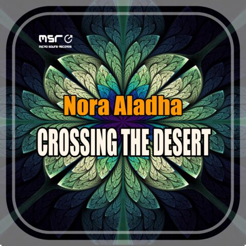 Crossing the Desert – Nora Aladha