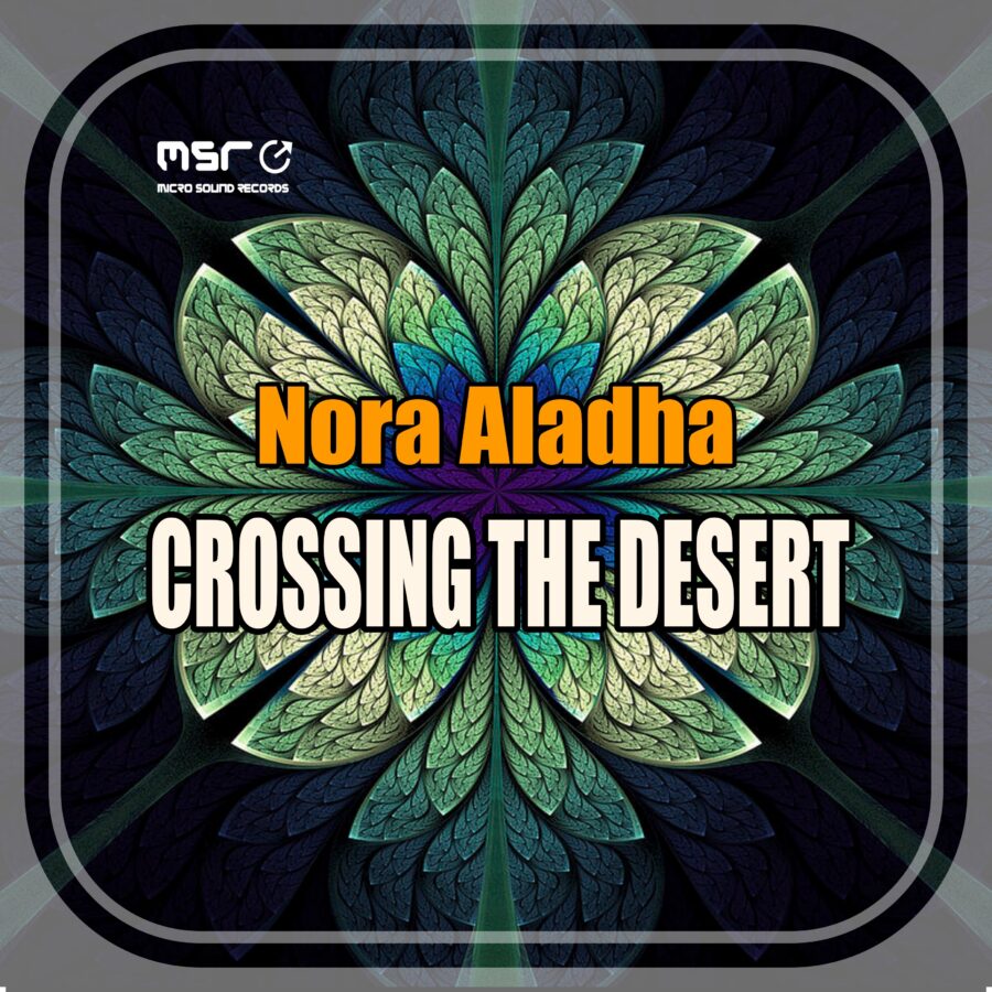 Crossing the Desert – Nora Aladha