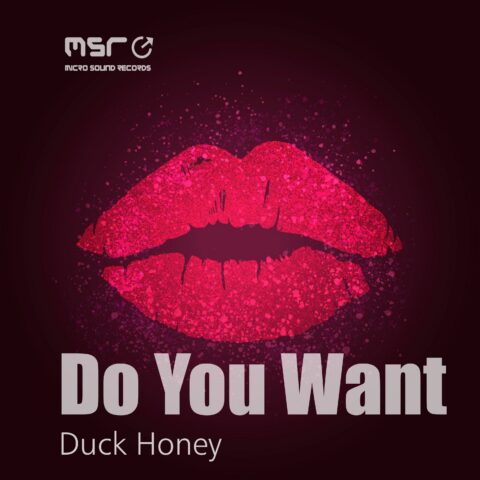 Do You Want – Duck Honey