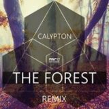 The Forest (Remix) – Calypton