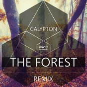 The Forest (Remix) – Calypton