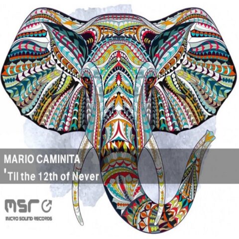 ‘Til the 12th of Never – Mario Caminita