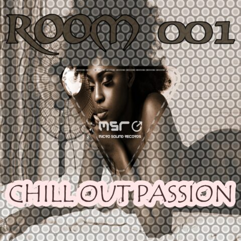Room 001 – Chillout Passion – Various Artists