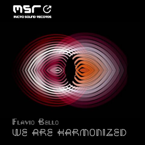 We are harmonized – Flavio Bello