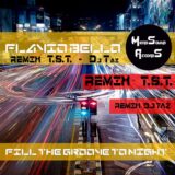 FEEL THE GROOVE TO NIGHT (RMX T.S.T.) – Flavio Bello