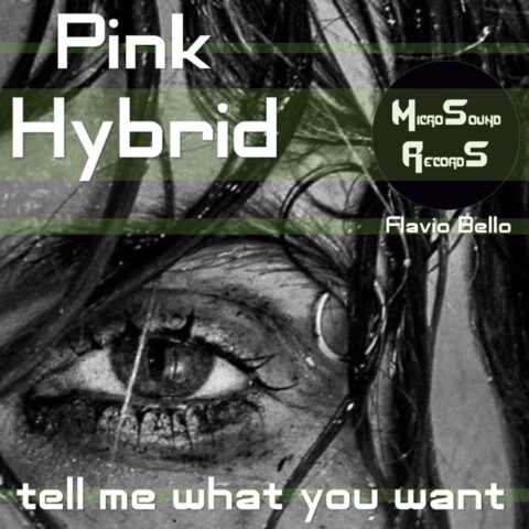 Tell me what you want (Flavio Bello Edit) – Pink Hybrid, Flavio Bello