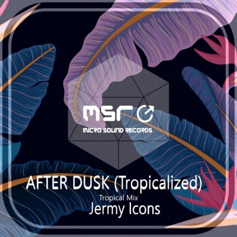After Dusk (Tropicalized) (Tropical Mix) – Jermy Icons