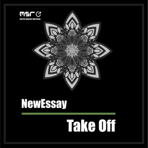 Take Off – NewEssay
