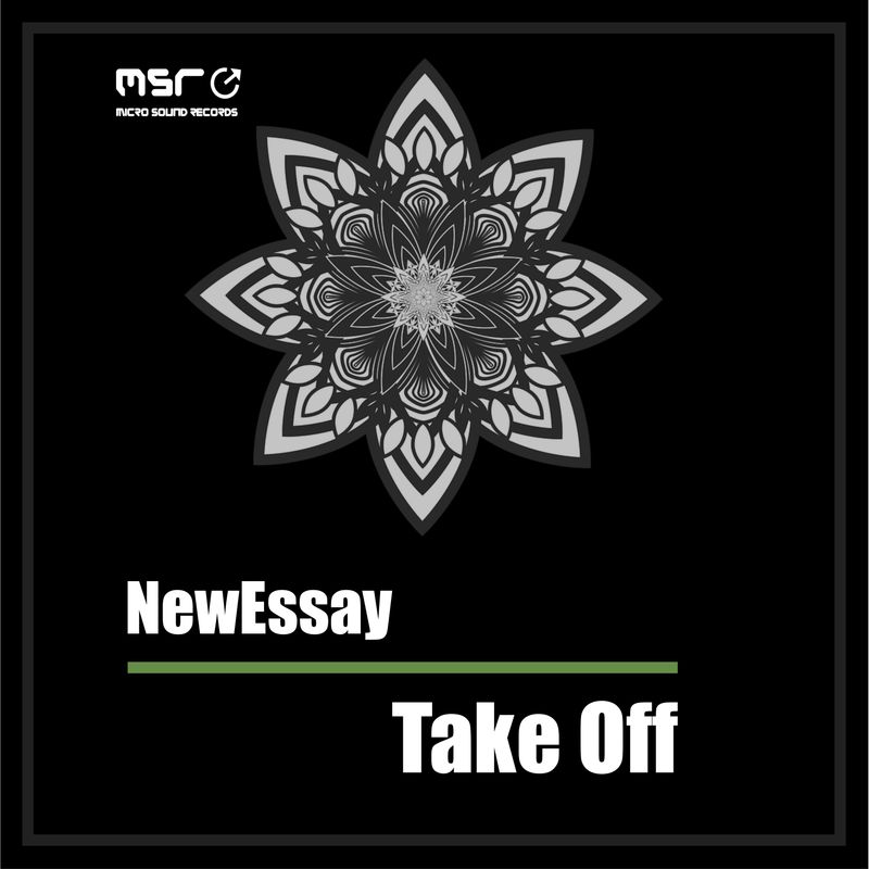 Take Off – NewEssay