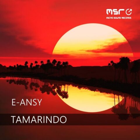 Tamarindo – E-Ansy